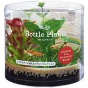 癒し水景 ボトルプランツ アヌビアス