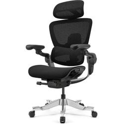 デスクワークもリラックスタイムも座りたくなる超高機能エルゴノミクスチェア（レッグレスト別売） ※お客様組立品 HINOMI H2 pro コールブラック