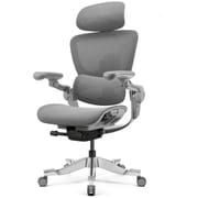 デスクワークもリラックスタイムも座りたくなる超高機能エルゴノミクスチェア（レッグレスト別売） ※お客様組立品 HINOMI H2 pro ムーングレー