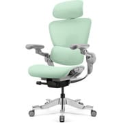 デスクワークもリラックスタイムも座りたくなる超高機能エルゴノミクスチェア（レッグレスト別売） ※お客様組立品 HINOMI H2 pro ミントグリーン