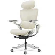 デスクワークもリラックスタイムも座りたくなる超高機能エルゴノミクスチェア（レッグレスト別売） ※お客様組立品 HINOMI H2 pro クリームホワイト