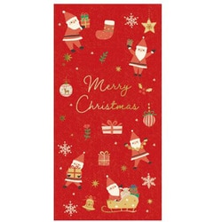 【限定】 ポチ袋 チアフルサンタ L 3枚入 CP012