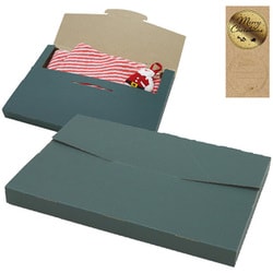 【限定】 配送BOX L グリーン 1個入 【限定】 配送BOX L グリーン