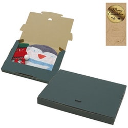 【限定】 配送BOX S グリーン 2個入 【限定】 配送BOX S グリーン