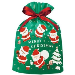 【限定】 ギフトバッグ 巾着 ピュアサンタ グリーン CD052