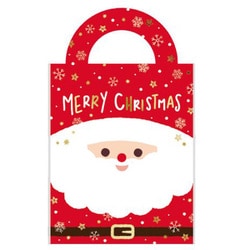 【限定】 ジップバッグ サンタドリーム 5枚入 CV055