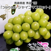 『つがりあん シャインマスカット』 青森県産 秀品 1房 約600g 化粧箱 ※冷蔵 [ご注文受付は2025年12月15日（月）決済完了分まで]