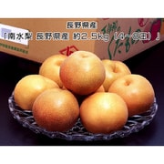 糖度14度選別 南水梨 長野県産 約2.5kg（4～8玉）簡易箱（等級：太鼓判・優糖生など） ※冷蔵 [ご注文受付は2025年11月20日（木）決済完了分まで]