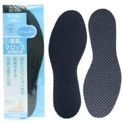 悪臭ブロックインソール 29.0～32.0cm 1足分（2枚入り）