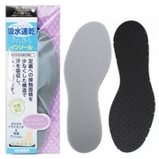 吸水速乾サラサラインソール 男女兼用フリーサイズ（21.0～28.0cm）1足分（2枚入り）