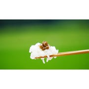 KOUMI -ニラ香る味噌- 140g