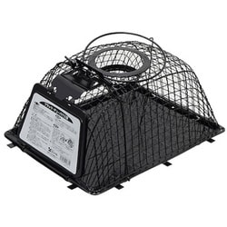 コンパル ブラック チューハウス型