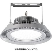岩崎 LED高天井灯 防水形 250W 広角 DALI EHWP25014W/NSAZ9/F