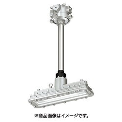 岩崎 防爆形LED照明器具 EXICL2022ASA9-16