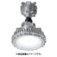 岩崎 防爆形LED照明器具 EXIL1053ASA9-16