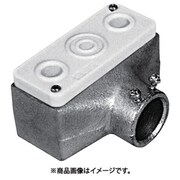 ねじ無し ターミナルキャップ TCTM19