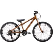 子供用自転車 MARIN26 DONKY JR 22 6s LTD 22インチ 6段変速 G.JUPITER