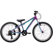 子供用自転車 MARIN26 DONKY JR 22 6s LTD 22インチ 6段変速 G.NEBULA