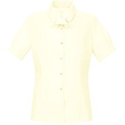 ブラウス シャツ レディース 半袖 イエロー 15号 BL-445-G1-15