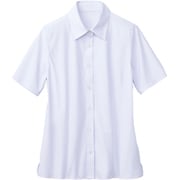 ブラウス シャツ レディース 半袖 ラベンダー 21号 GBSL-2210-J6-21