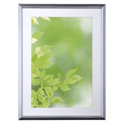 ガク KS-30 W4 シルバー FKS30-SVW4