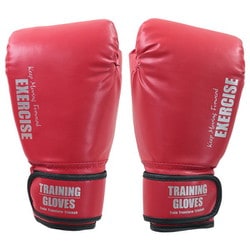 ボクシンググローブ（大人用）