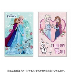 限定 レギュラーポチ袋 アナと雪の女王 1柄 6130044D