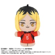 2593675 ハイキュー！！ ぷりぬいたっちどりーむみにみに 孤爪研磨