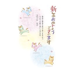 2026年 お年玉付き 年賀はがき スタンダードカラー 5枚入 No.02 A02