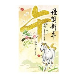 2026年 お年玉付き 年賀はがき スタンダードカラー 5枚入 No.11 A11