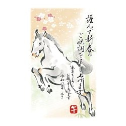 2026年 お年玉付き 年賀はがき スタンダードカラー 5枚入 No.20 A20