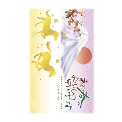 2026年 お年玉付き 年賀はがき 金箔 3枚入 No.19 D19