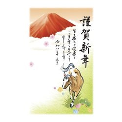 2026年 お年玉付き 年賀はがき 富士山 3枚入 No.06 FU06