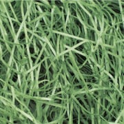 パッキン 紙パッキン 1kg グリーン 35-5835