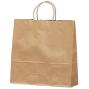 紙袋 手提袋 未晒 50P 50-5201