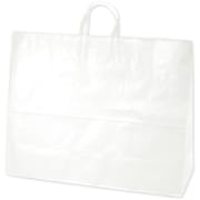 紙袋 手提袋 白無地 50P 50-5700
