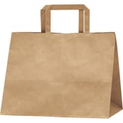 紙袋 手提袋 未晒 50P 50-5721