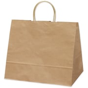 紙袋 手提袋 未晒 10P 50-6001