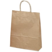 紙袋 手提袋 未晒 10P 50-6101