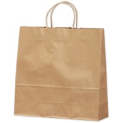 紙袋 手提袋 未晒 10P 50-6201