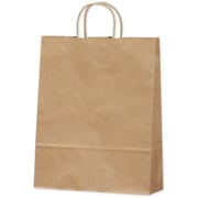 紙袋 手提袋 未晒 10P 50-6301