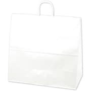 紙袋 手提袋 白無地 10P 50-6600
