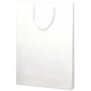 紙袋 手提袋 額縁用 小 10P 50-6800