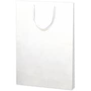 紙袋 手提袋 額縁用 大 10P 50-6900