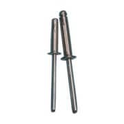 軟質母材3方向拡張リベット (1000本入「500X2箱入」) AD64TL