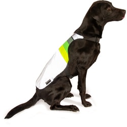 自転車用ウェアー ゴーフロー ムーンライト XXS 7008175917