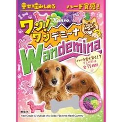 【限定】 ワンワンデミーナグミ 60g
