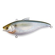 HADARA VIB SH サッパ