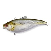 HADARA VIB GG コノシロ