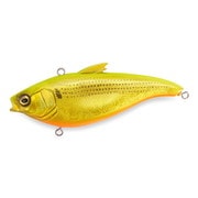 HADARA VIB GG ゴールドチャートコノシロ